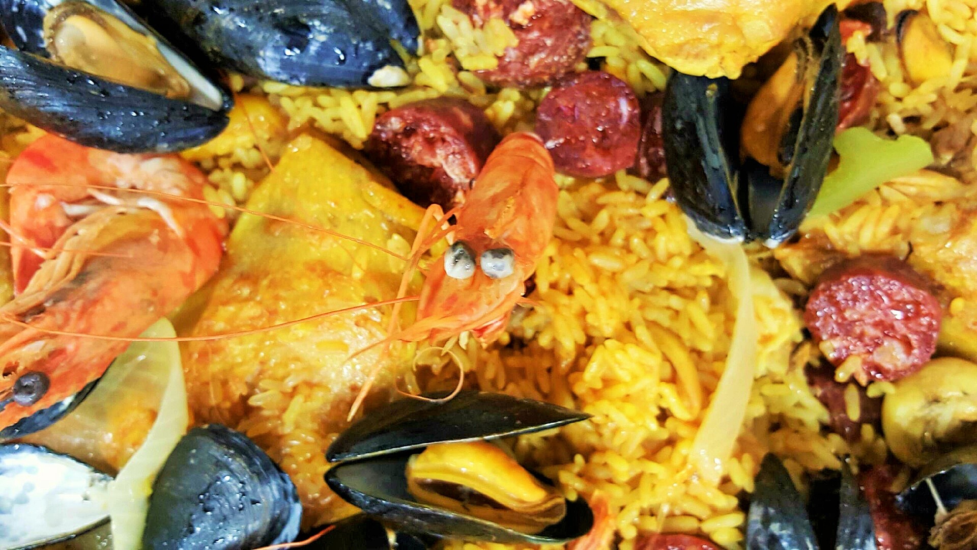 traiteur paella pour 200 personnes